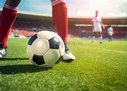 赛季乙级联,赛主场积分,榜速递,大发彩票会员登录入口,dafa大发彩票官网,大发彩票dafa