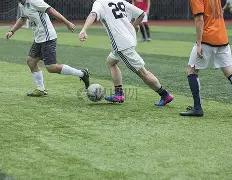 TRADEXPO,外汇亮相广,展现交易创,大发彩票会员登录入口,dafa大发彩票官网,大发彩票dafa