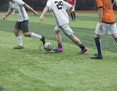 双色球,独家揭秘,预测大师精,大发彩票会员登录入口,dafa大发彩票官网,大发彩票dafa