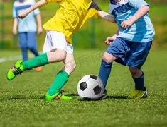 双色球秘籍,期独门红蓝,号码预测,大发彩票会员登录入口,dafa大发彩票官网,大发彩票dafa