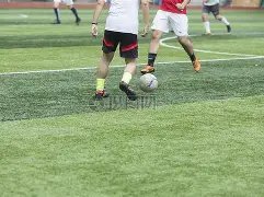 奇缘揭晓,期彩票号码,预测,大发彩票会员登录入口,dafa大发彩票官网,大发彩票dafa