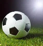 东方花琦独,彩票,期必中秘籍,大发彩票会员登录入口,dafa大发彩票官网,大发彩票dafa