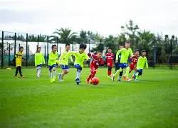 燕初飞独家,揭秘,双色球,大发彩票会员登录入口,dafa大发彩票官网,大发彩票dafa