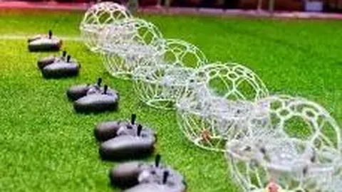 大发彩票 资讯 091806 zxb