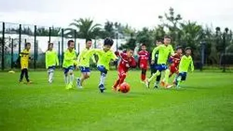 【燕初飞独家揭秘】双色球2026016开奖预测：首号球锁定03、13，不容错过的大奖信号！