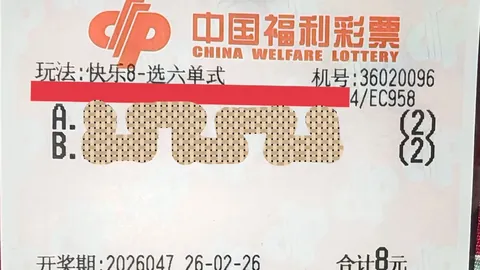 大乐透2026020期专家稳定推荐复式73分析