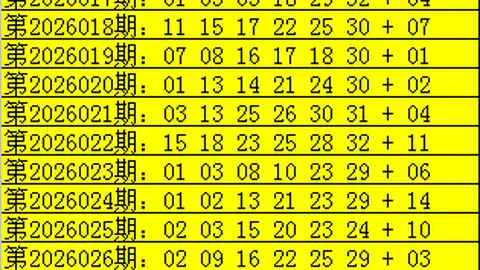刘栋大乐透期号解析：专家推荐196万累积，再战大奖